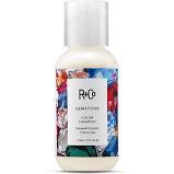 Travel Size Gemstone Color Shampoo